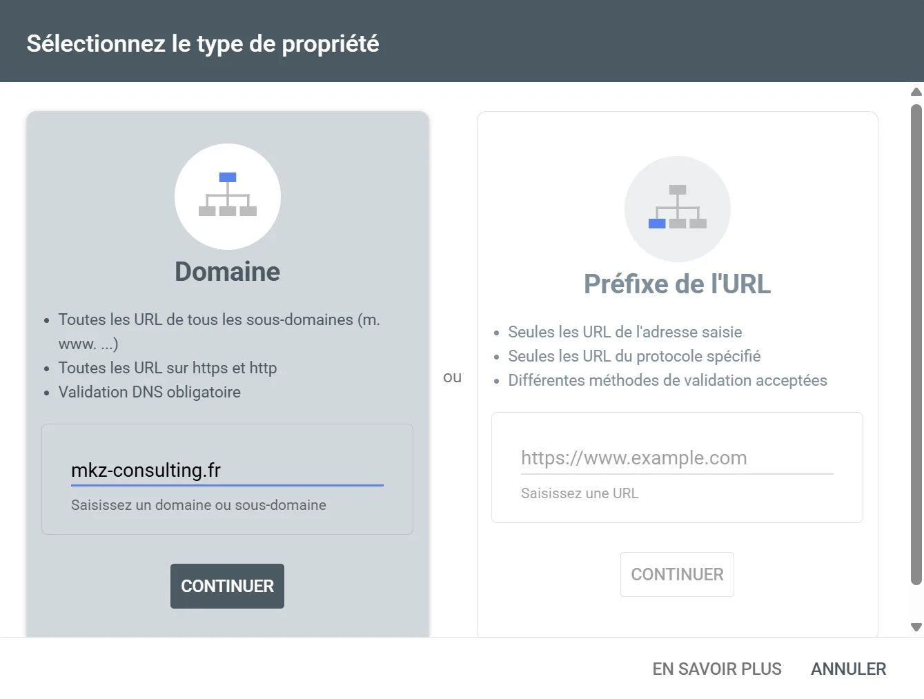 Écran de Google Search Console présentant les deux cartes Domaine et Préfixe d'URL pour créer une propriété